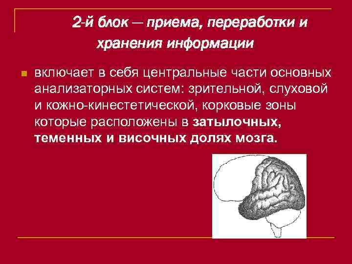 2 -й блок — приема, переработки и хранения информации n включает в себя центральные