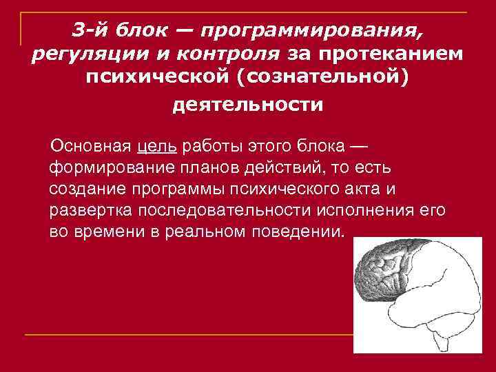 3 -й блок — программирования, регуляции и контроля за протеканием психической (сознательной) деятельности Основная