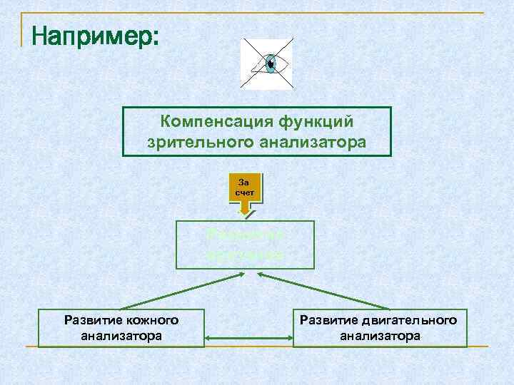 Например: Компенсация функций зрительного анализатора За счет Развитие осязания Развитие кожного анализатора Развитие двигательного