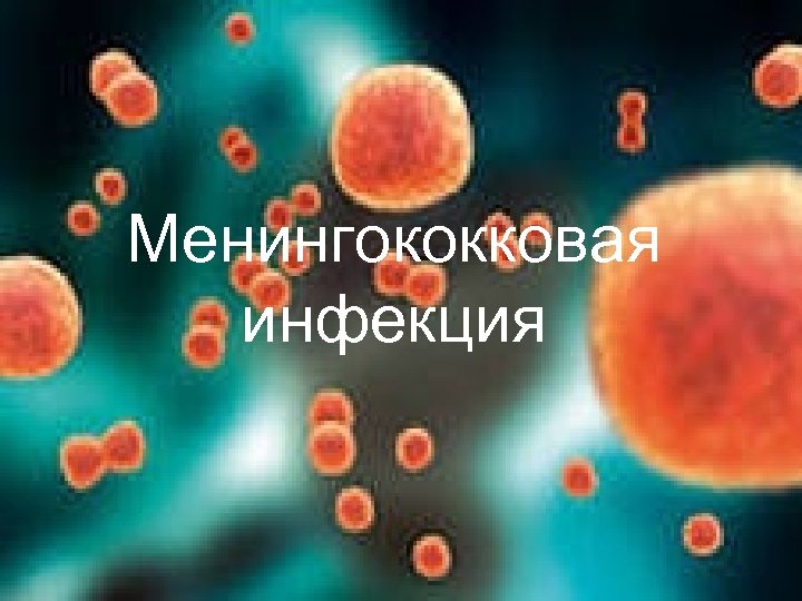Менингококковая инфекция 