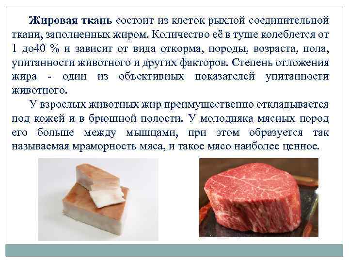 Жировая ткань состоит из клеток рыхлой соединительной ткани, заполненных жиром. Количество её в туше