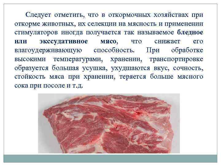 Следует отметить, что в откормочных хозяйствах при откорме животных, их селекции на мясность и