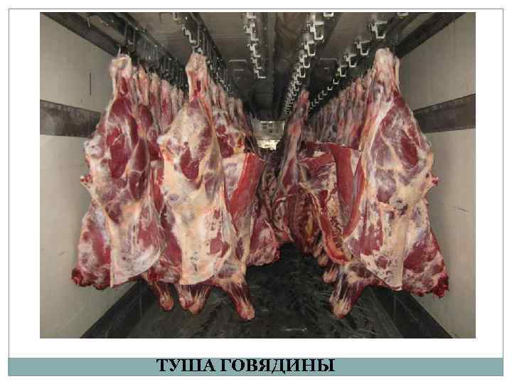 ТУША ГОВЯДИНЫ 