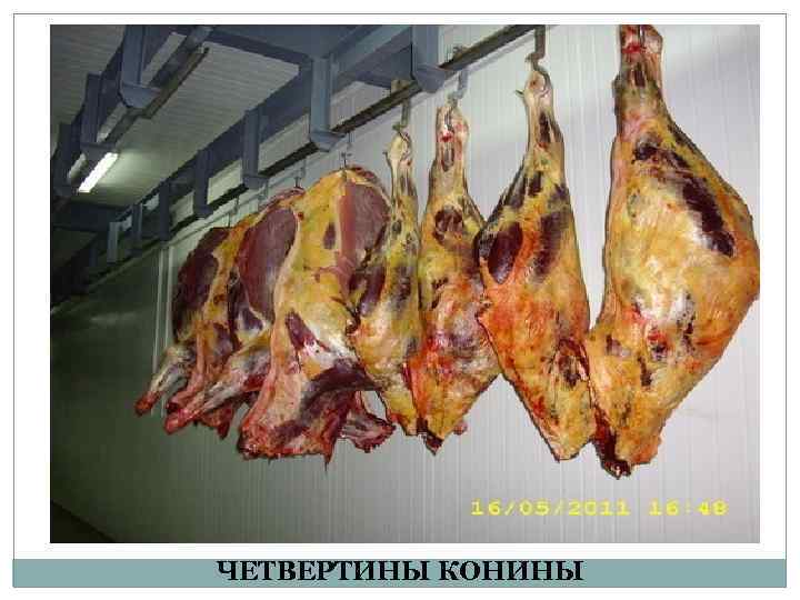 ЧЕТВЕРТИНЫ КОНИНЫ 