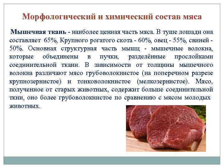 Морфологический и химический состав мяса Мышечная ткань - наиболее ценная часть мяса. В туше