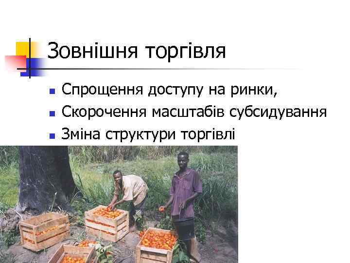 Зовнішня торгівля n n n Спрощення доступу на ринки, Скорочення масштабів субсидування Зміна структури