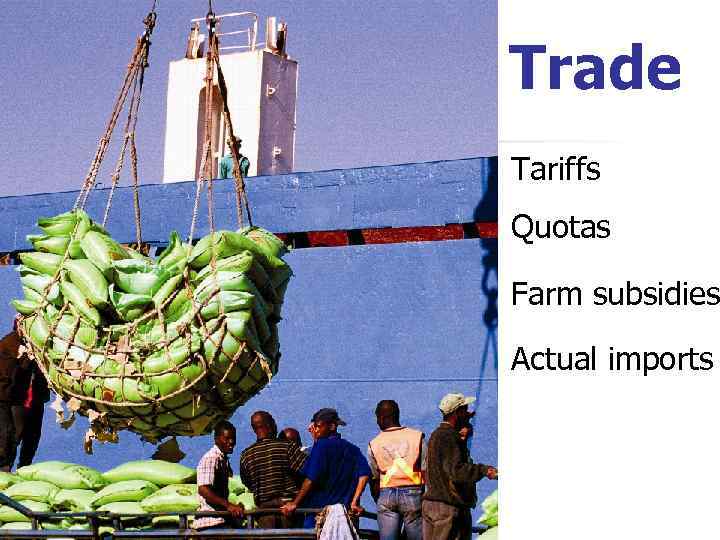 Trade Tariffs Quotas Farm subsidies Actual imports 