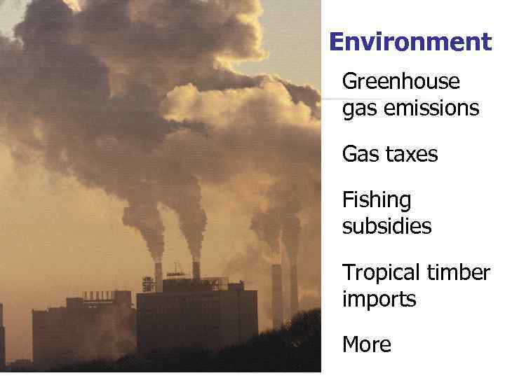 Environment Greenhouse gas emissions Gas taxes Fishing subsidies Tropical timber imports More 