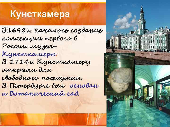 Кунсткамера В 1698 г. началось создание коллекции первого в России музея. Кунсткамеры. В 1714