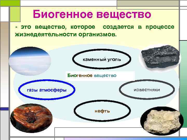 Биогенное вещество - это вещество, которое создается в процессе жизнедеятельности организмов. каменный уголь Биогенное