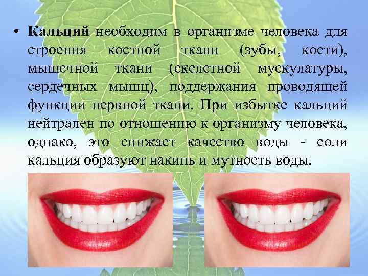  • Кальций необходим в организме человека для строения костной ткани (зубы, кости), мышечной