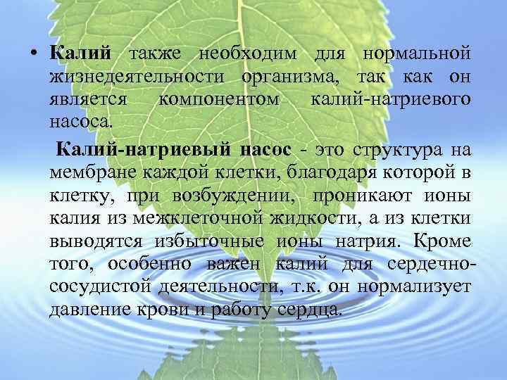  • Калий также необходим для нормальной жизнедеятельности организма, так как он является компонентом