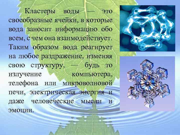  Кластеры воды — это своеобразные ячейки, в которые вода заносит информацию обо всем,