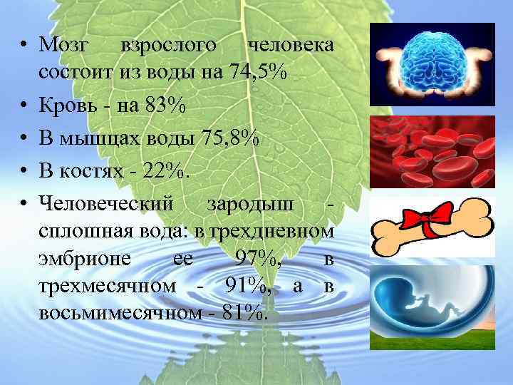 Вода кровь земли проект