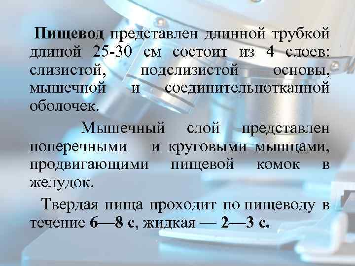  Пищевод представлен длинной трубкой длиной 25 30 см состоит из 4 слоев: слизистой,