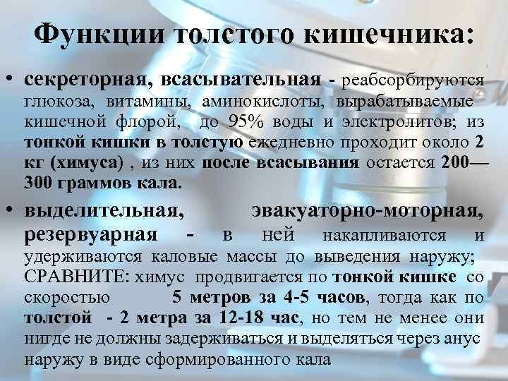 Функция толстого. Функции Толстого кишечника. Выделительная функция толстой кишки. Толстый кишечник выделительная функция. Всасывательная функция Толстого кишечника.