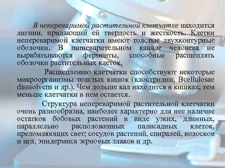  В непереваримой растительной клетчатке находится лигнин, придающий ей твердость и жесткость. Клетки непереваримой