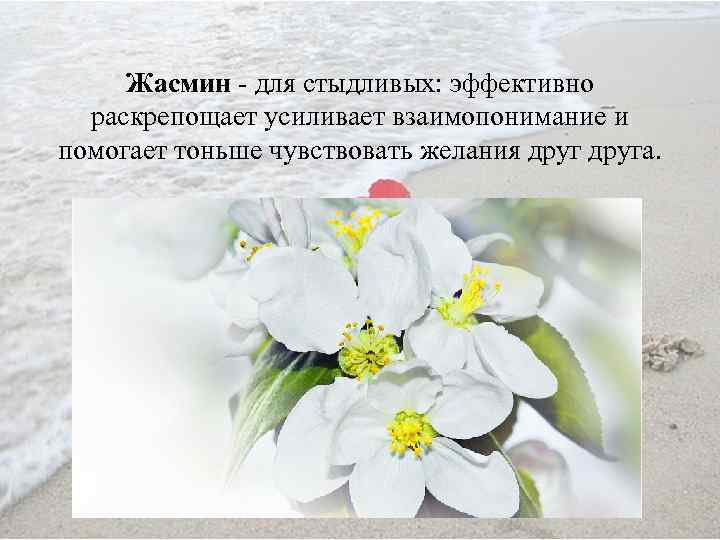 Жасмин - для стыдливых: эффективно раскрепощает усиливает взаимопонимание и помогает тоньше чувствовать желания друга.