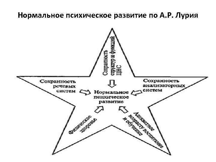 Нормальное психическое развитие по А. Р. Лурия 