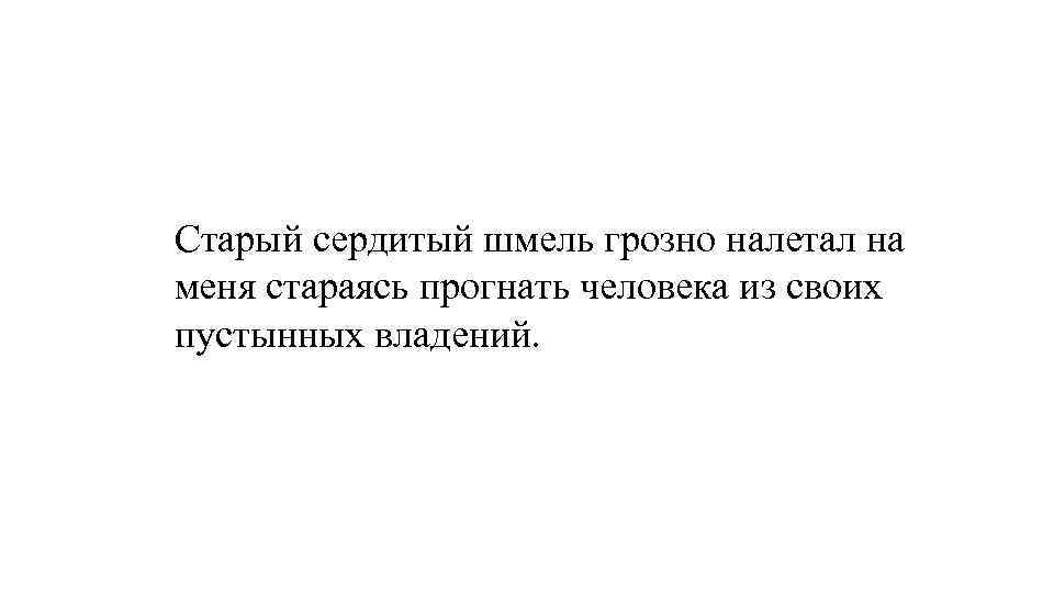 Старый сердитый шмель грозно налетал на меня стараясь прогнать человека из своих пустынных владений.