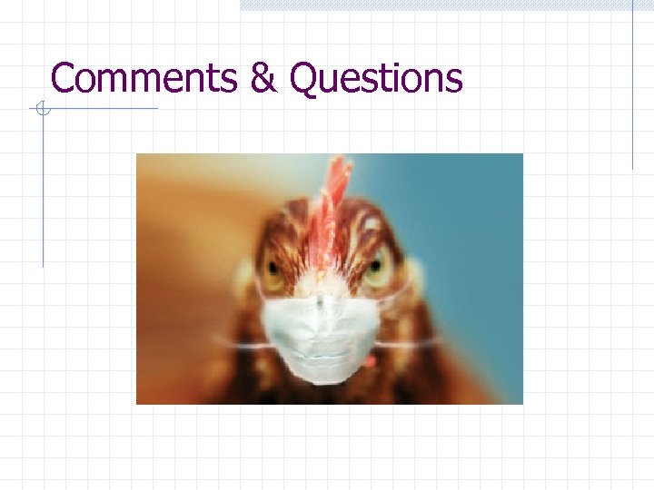 Comments & Questions 