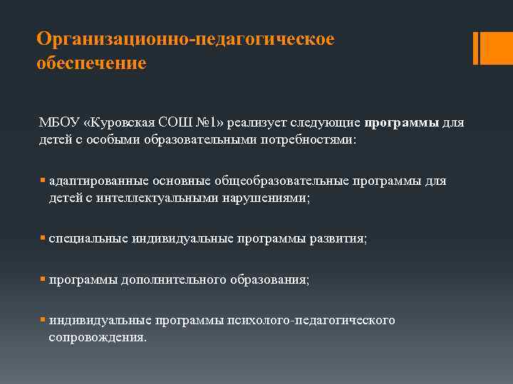 Организационно-педагогическое обеспечение МБОУ «Куровская СОШ № 1» реализует следующие программы для детей с особыми