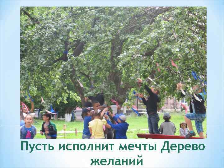Пусть исполнит мечты Дерево желаний 