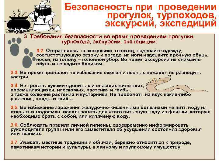 Безопасность при проведении прогулок, турпоходов, экскурсий, экспедиций 3. Требования безопасности во время проведением прогулки,
