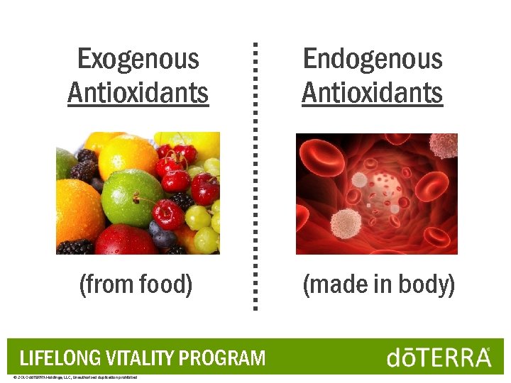 Exogenous Antioxidants Endogenous Antioxidants (from food) (made in body) LIFELONG VITALITY PROGRAM © 2010