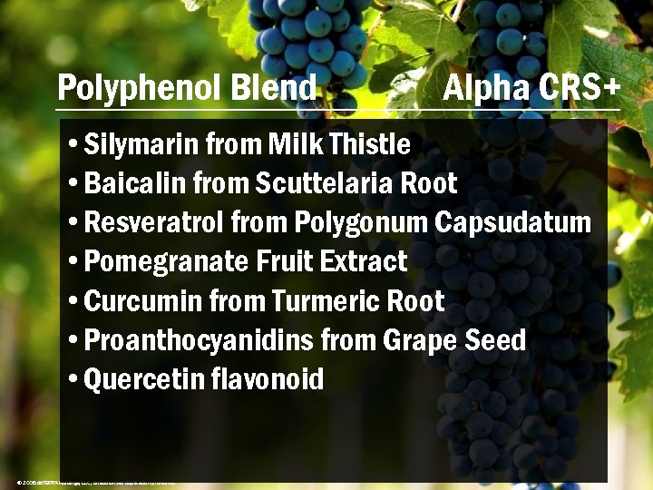 Polyphenol Blend Alpha CRS+ • Silymarin from Milk Thistle • Baicalin from Scuttelaria Root