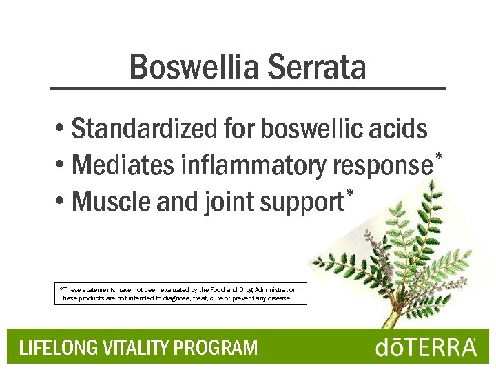 Boswellia Serrata • Standardized for boswellic acids * • Mediates inflammatory response • Muscle