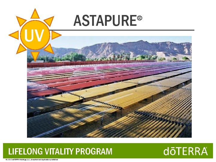 UV ASTAPURE LIFELONG VITALITY PROGRAM © 2010 dōTERRA Holdings, LLC, Unauthorized duplication prohibited ®