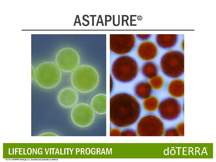 ASTAPURE LIFELONG VITALITY PROGRAM © 2010 dōTERRA Holdings, LLC, Unauthorized duplication prohibited ® 