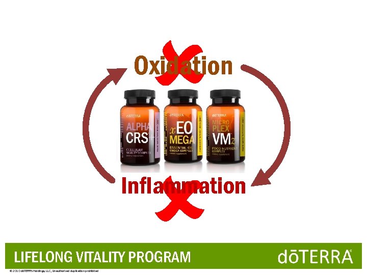  Oxidation Inflammation LIFELONG VITALITY PROGRAM © 2010 dōTERRA Holdings, LLC, Unauthorized duplication prohibited