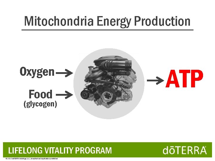 Mitochondria Energy Production Oxygen Food (glycogen) LIFELONG VITALITY PROGRAM © 2010 dōTERRA Holdings, LLC,