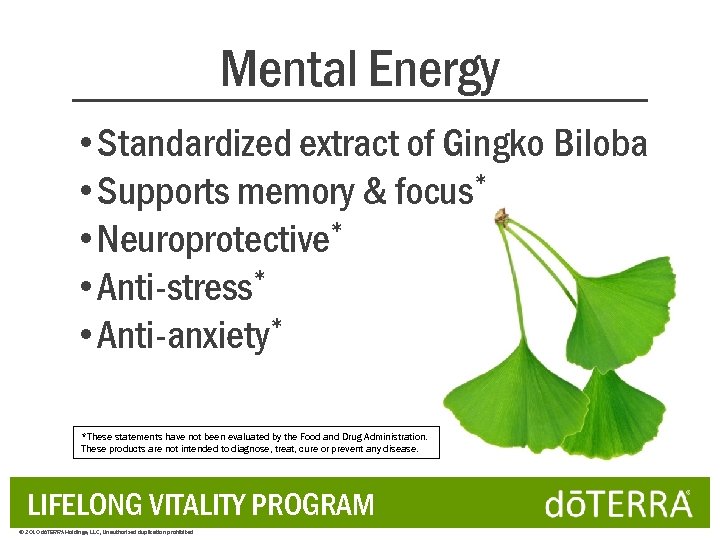 Mental Energy NEW! • Standardized extract of Gingko Biloba • Supports memory & focus*