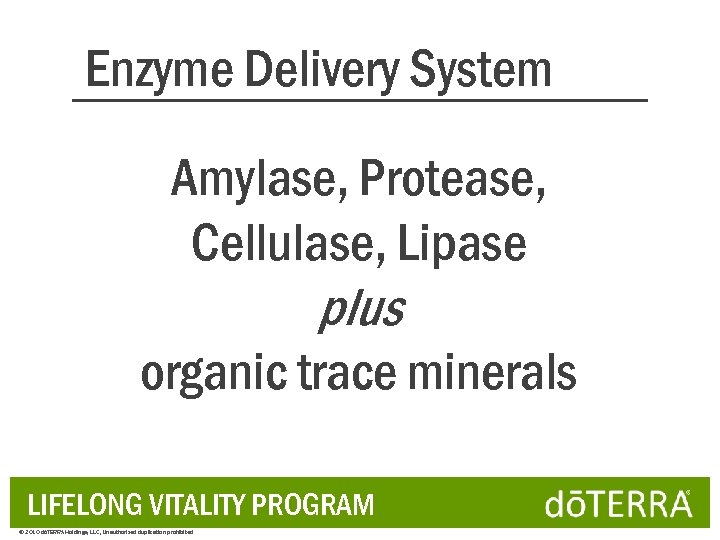 Enzyme Delivery System Amylase, Protease, Cellulase, Lipase plus organic trace minerals LIFELONG VITALITY PROGRAM