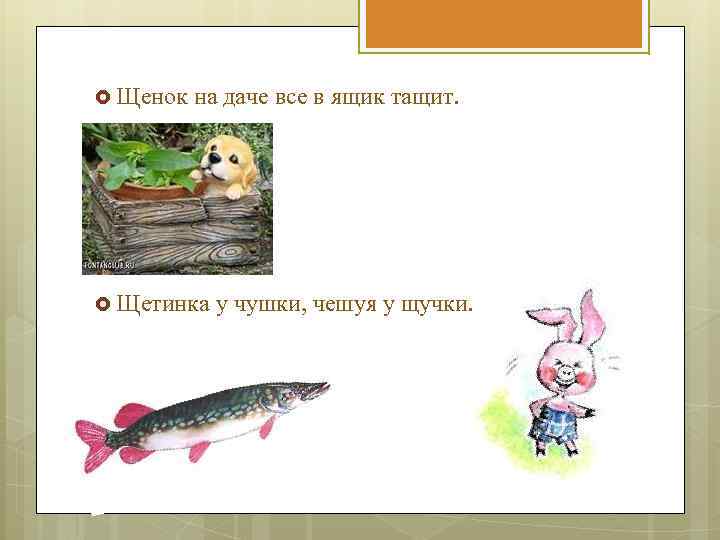  Щенок на даче все в ящик тащит. Щетинка у чушки, чешуя у щучки.
