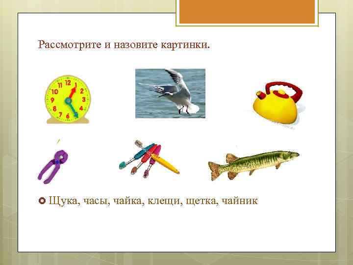 Рассмотрите и назовите картинки. Щука, часы, чайка, клещи, щетка, чайник 