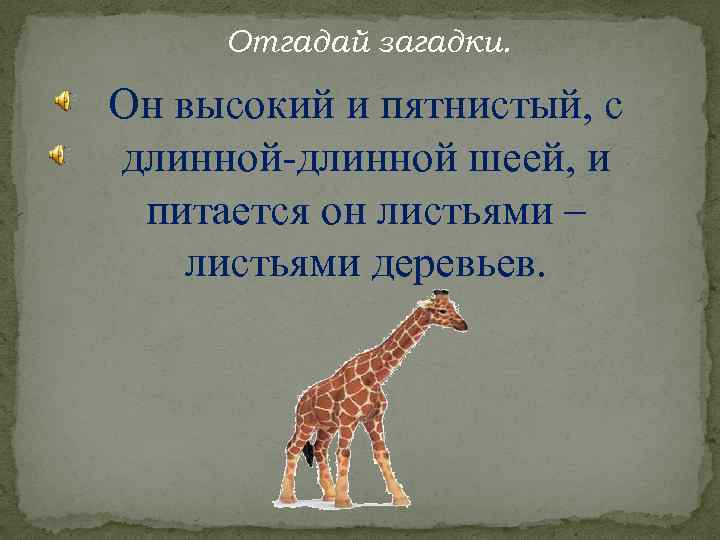 Отгадай загадки. Он высокий и пятнистый, с длинной-длинной шеей, и питается он листьями –