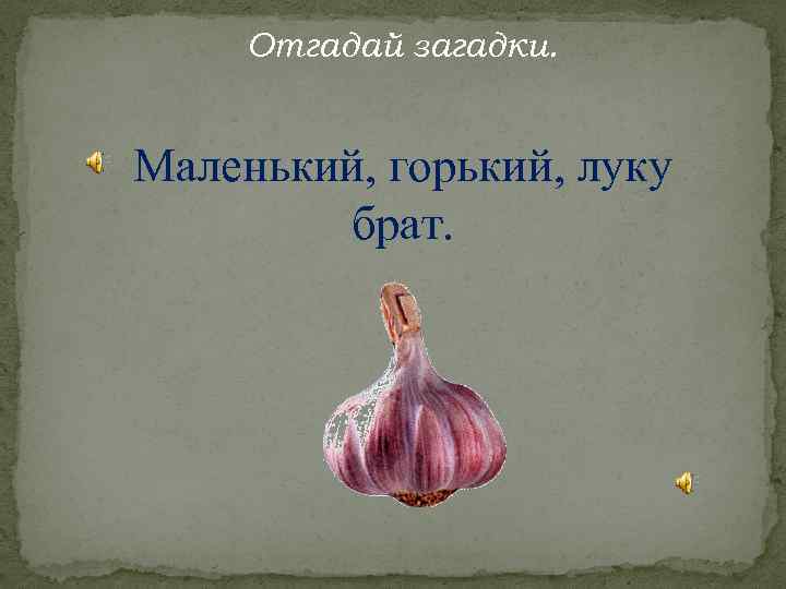 Отгадай загадки. Маленький, горький, луку брат. 