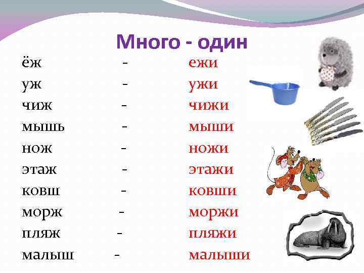 ёж уж чиж мышь нож этаж ковш морж пляж малыш Много - один -