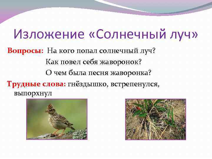 Изложение «Солнечный луч» Вопросы: На кого попал солнечный луч? Как повел себя жаворонок? О