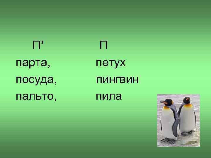 П’ парта, посуда, пальто, П петух пингвин пила 