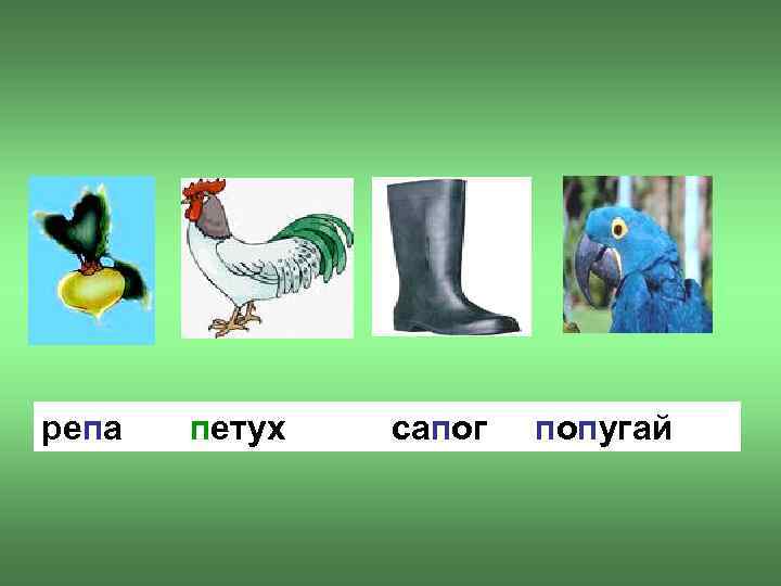 репа петух сапог попугай 