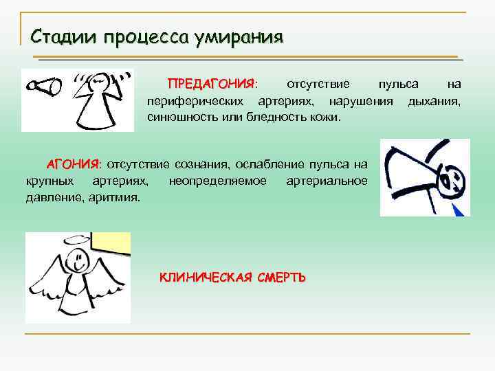 Стадии процесса умирания ПРЕДАГОНИЯ: отсутствие пульса на ПРЕДАГОНИЯ периферических артериях, нарушения дыхания, синюшность или
