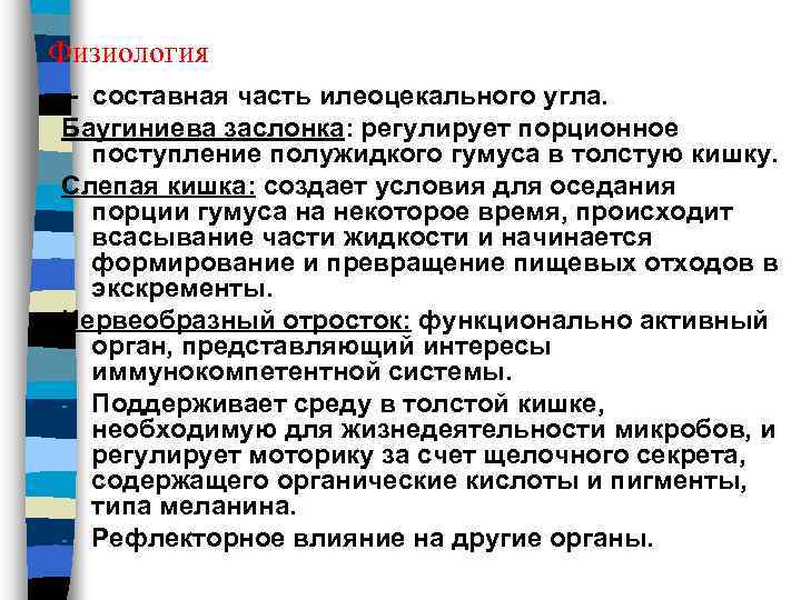 Физиология - составная часть илеоцекального угла. Баугиниева заслонка: регулирует порционное поступление полужидкого гумуса в