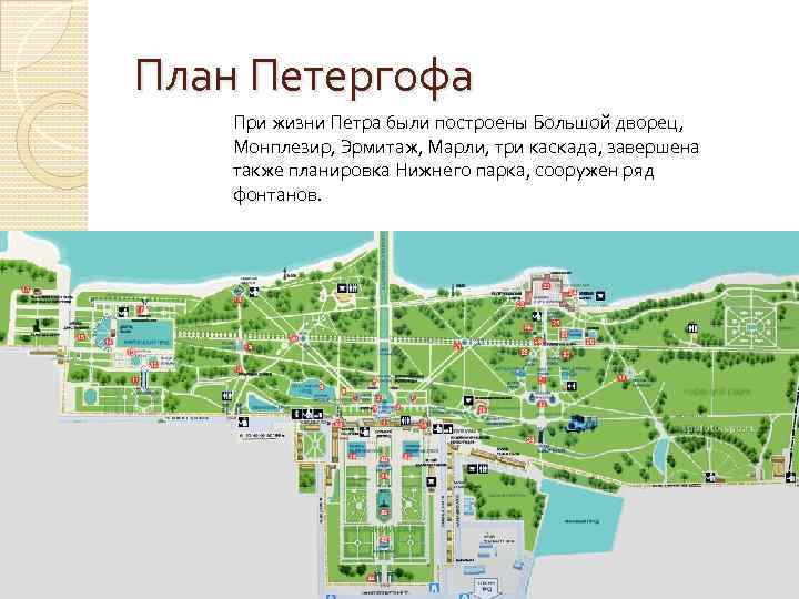 Карта петродворца нижний парк