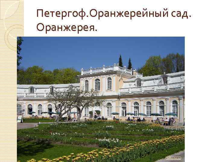 Петергоф. Оранжерейный сад. Оранжерея. 