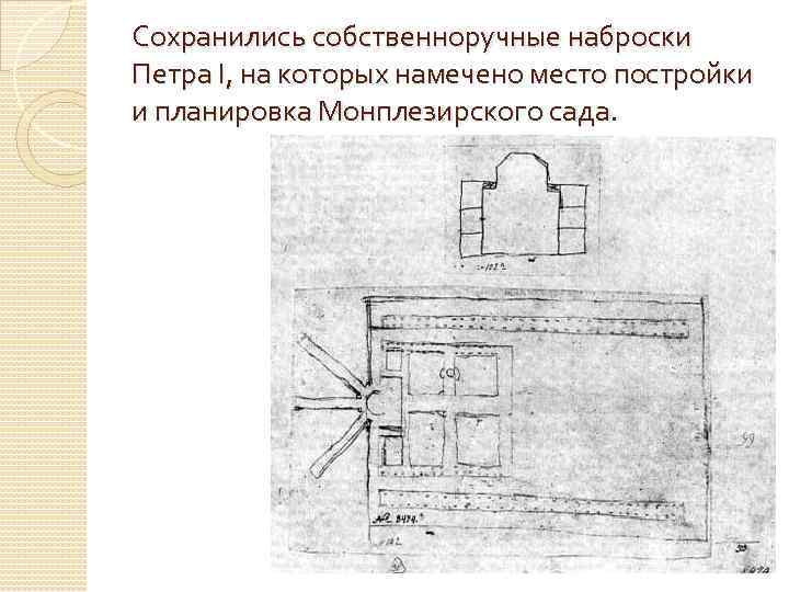 Сохранились собственноручные наброски Петра I, на которых намечено место постройки и планировка Монплезирского сада.